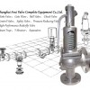 FIG.SV902開式彈簧安全閥