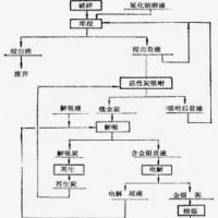 鉑思特炭質金礦預處理-炭浸新工藝，從礦石和精礦中提取金的方法