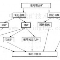 鉑思特低品位原生金礦石的生物柱浸工藝，選金尾礦渣回收金的設備