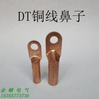 金蟾電氣供應 鍍錫銅鼻子 DT-25銅接線端子