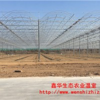 蔬菜溫室大棚骨架 供應農用連棟大棚骨架 牢固抗風耐腐蝕